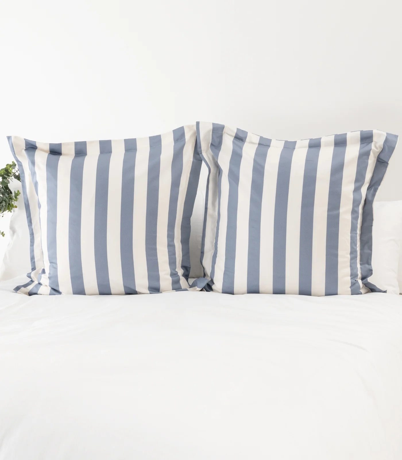 Organic Cotton European - Sateen Pillow Cases (Pair) - Luxe - Limited Edition - Image 12